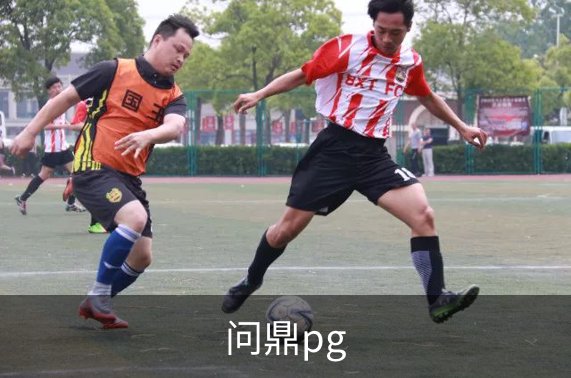 了解问鼎pg